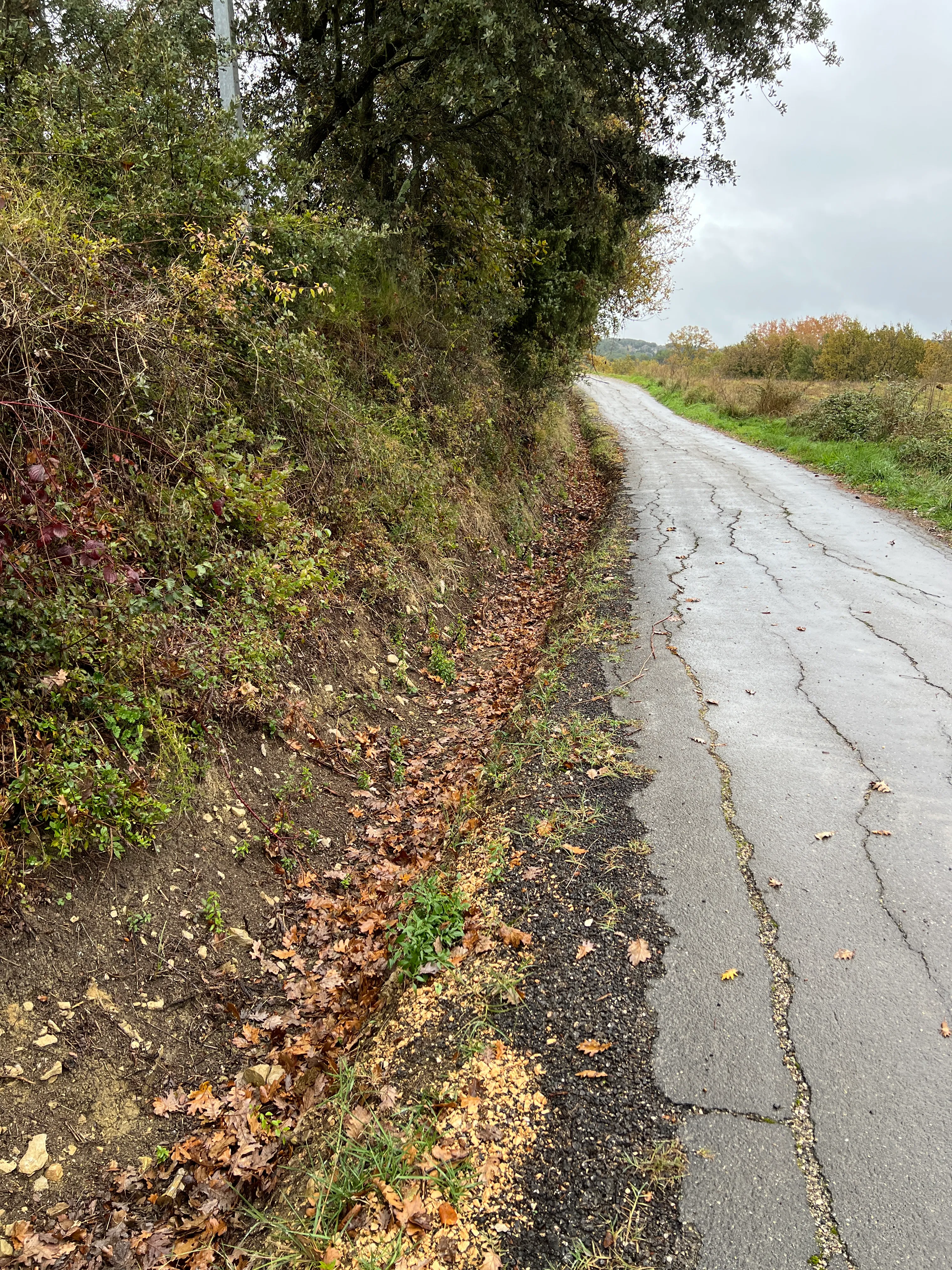 Chemin des Martines